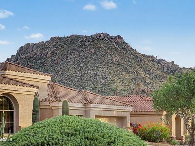 11396 E DIAMOND CHOLLA Drive