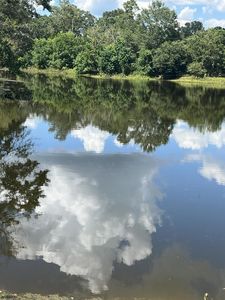 2124 County Road 1149