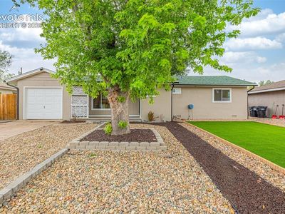 509 Chatfield Dr