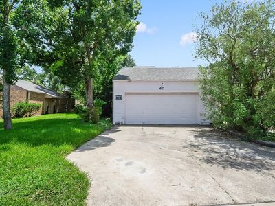 62 Chervil Cmn