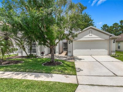 527 Canary Island Ct