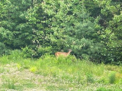 Property at lot 60 Blackcat Mountain Road, Poland, ME