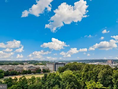 5902 Mount Eagle Dr APT 1501