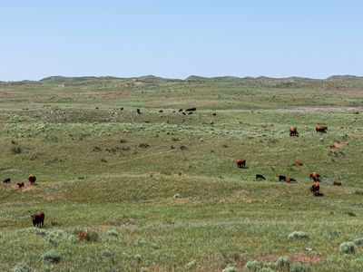 0 S Highway 385