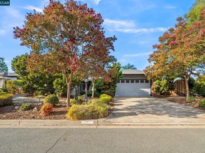 5849 Mitchell Canyon Ct
