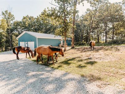 21503 Highway 28 W