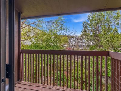 2920 Holly Avenue #103