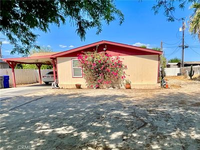 31163 Arbol Real