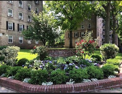 56-07 31st Ave Unit 1