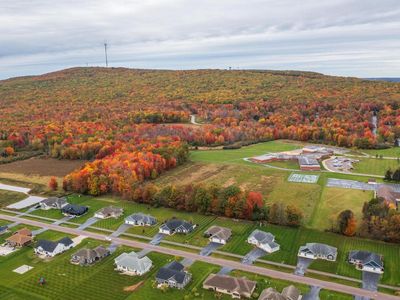 150609 LAVENDER LANE