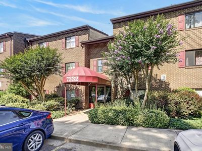 7332 Tavenner Ln Suite 1A