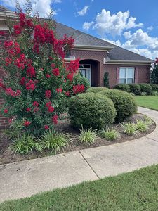 1005 Shumard Oaks Blvd