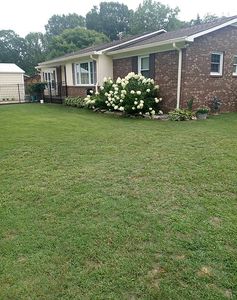 375 Vineyard Dr