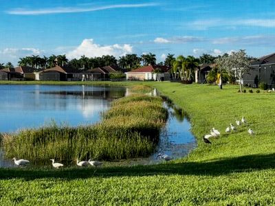 10288 SW Yellowwood Avenue