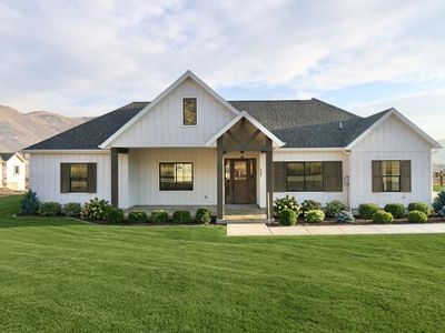 The Honeysuckle Plan, Blueberry Springs