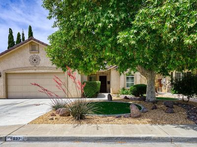 637 Pinon Ct