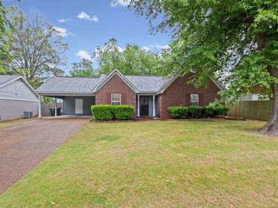 7788 Reese Rd