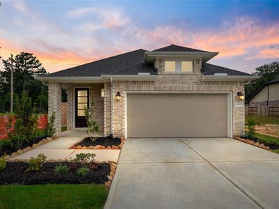 21423 Gazania Daisy Ln