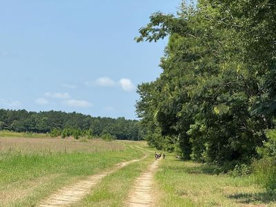 Tick Bite Rd