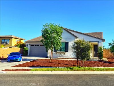 29883 Falabella Horse St