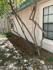 6435 N Tierra De Las Catalinas