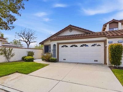 704 Windwillow Way