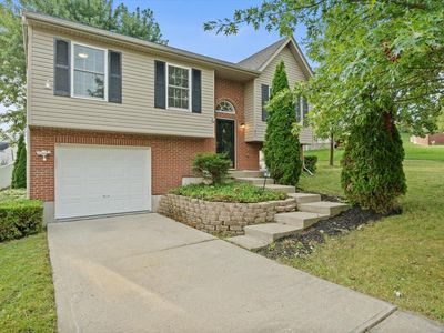 37 Otter Dr