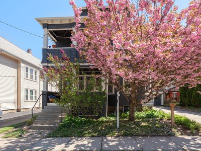 45 Springfield St #1