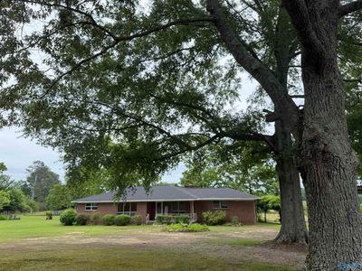 715 County Road 99