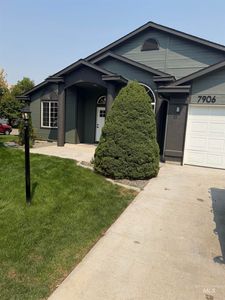 7906 Limelight
