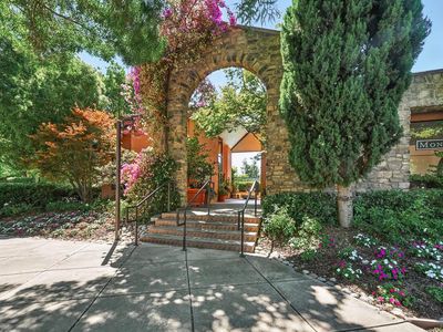 39149 Guardino Dr APT 256