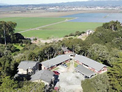 Salinas Royaloaks