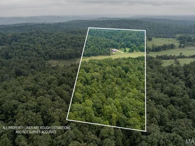 867 County Road 308