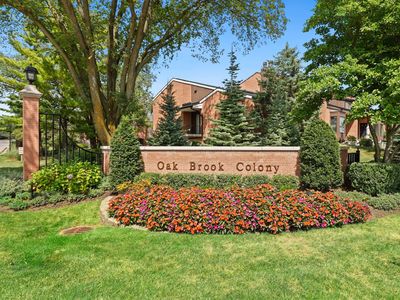 19W241 Ginger Brook Dr N