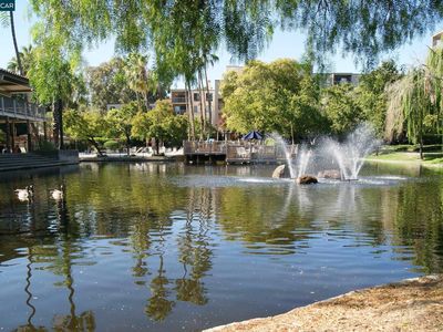 320 N Civic Dr APT 205