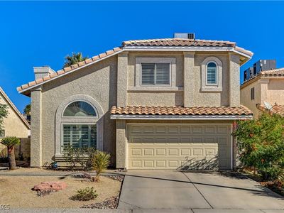 1411 Braided Mane Cir