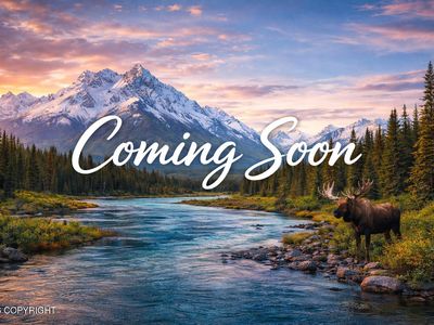 Property at 19743 E Good Fishin Ave, Willow, AK