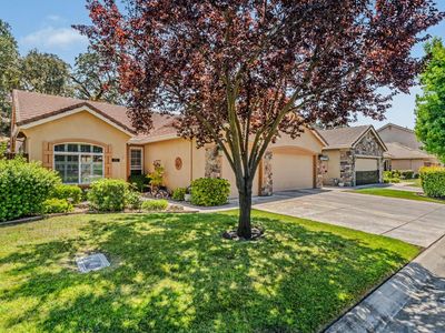 151 Gold King Dr
