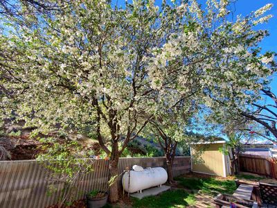 Property at 18 Eagle Peak Rd, Bridgeport, CA