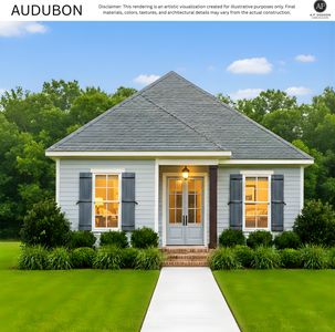 Audubon Plan, Americana