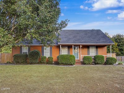 Property at 228 Cottondale Dr, Brownsville, TN