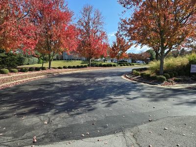 2312 Remington Way APT 4206