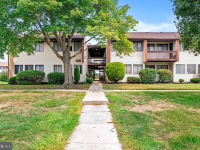 D4 Avon Dr