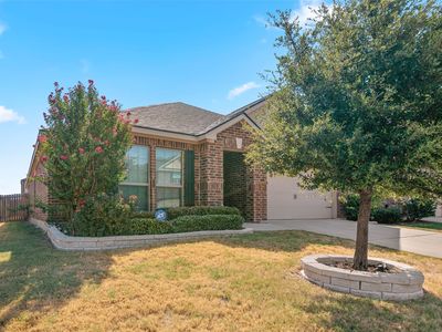 175 Aster Dr