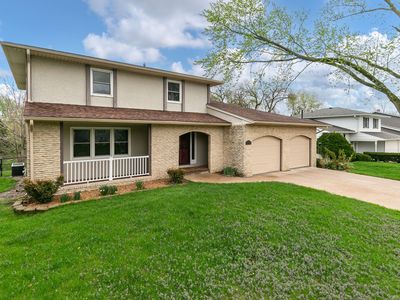 4003 Tanglefoot Ter