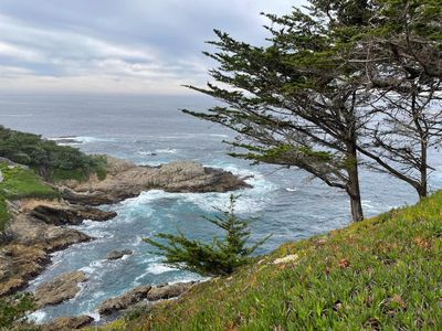 142 Carmel Riviera Dr