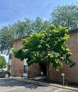 5811 Oakwood Dr APT F