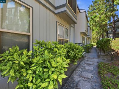 2087 Ascot Dr Unit 124