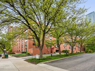 1115 S Plymouth Ct APT 201
