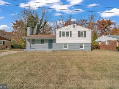 5 Maple St